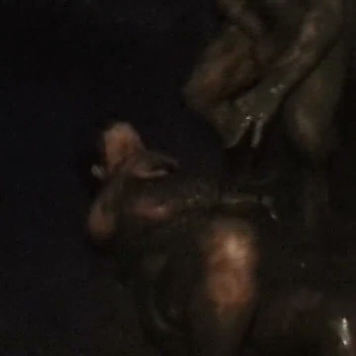 Muddy MILF Takes Thick Cock in Both Holes