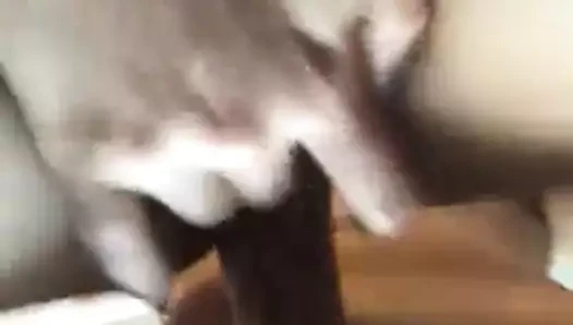 She Masturbates