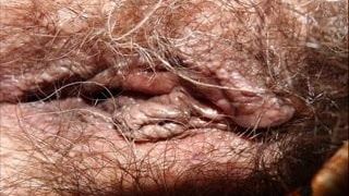 My mature hairy wife! Amateur!
