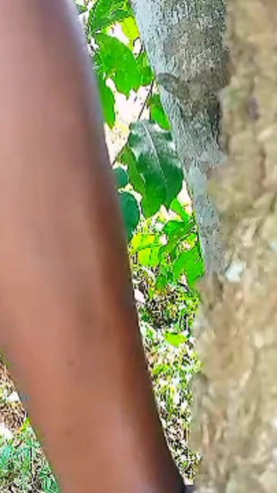 Teen Solo female masturbation with wet tight pussy in the bush, she missed hardcore fuck and enjoyed self sexual pleasure | Clip 2