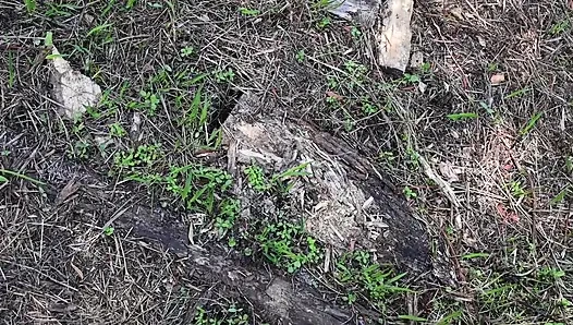 Видео на весь день