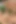 Hintli desi Asyalı yenge ka khet - açık havada orta yaşlı seksi kadın