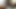 Stroking my Dick on the toilet Monster cock, monster cumshot