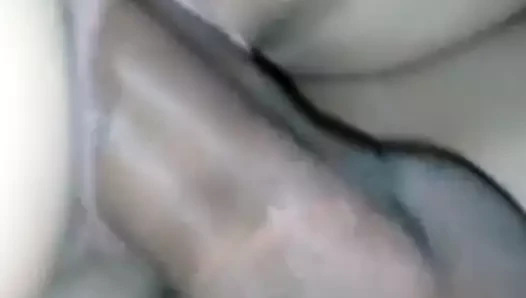 Amcık