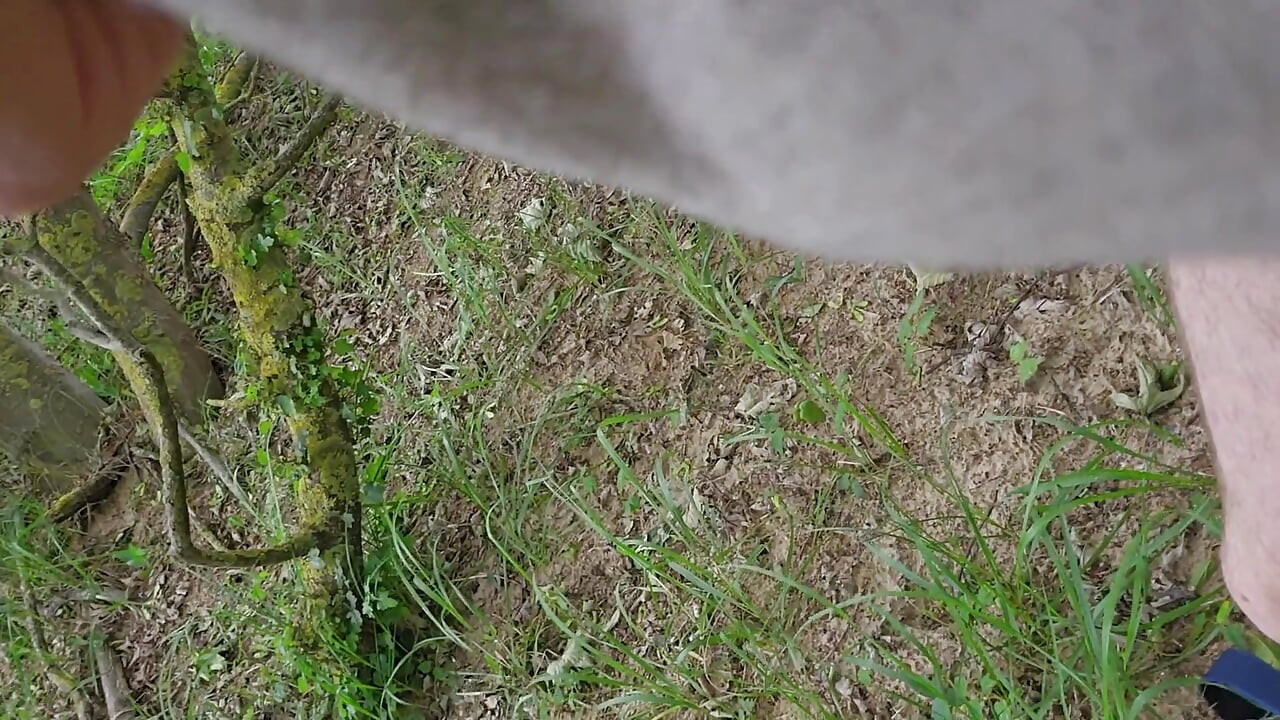 Daddy has a wank in a public park