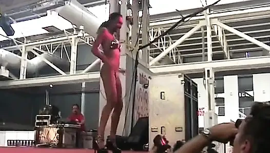 The Best Sequences of the Bacelone X Show