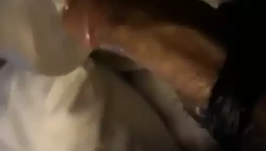 Fleshlight 2