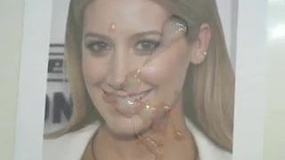 Ashley Tisdale hommage 1