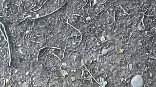 Clothes left in car.  an hour naked walk from car and back in woods barefoot