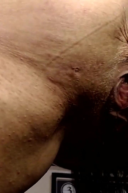 Asshole Pussy Natural Bouncing