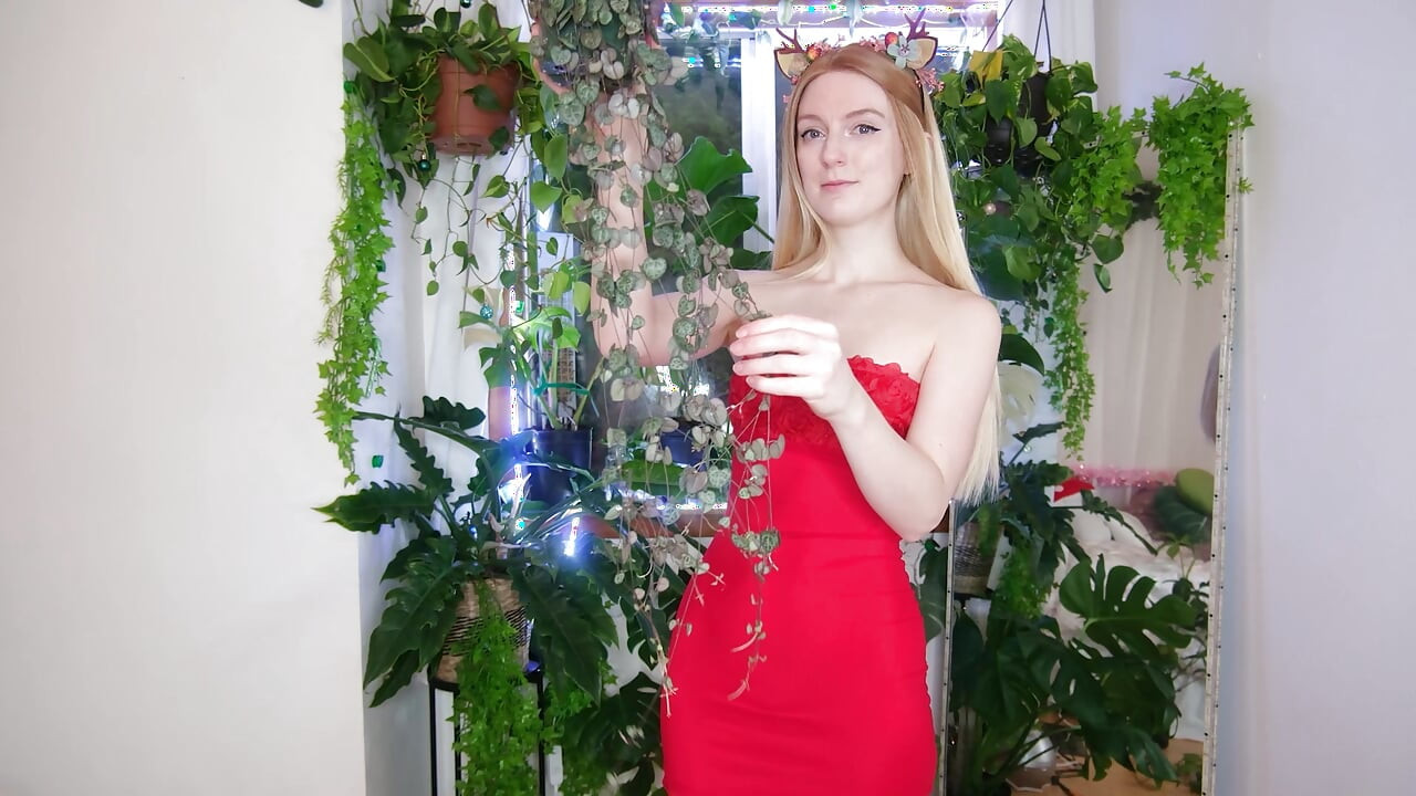 ต้นไม้ที่กูมีสําหรับคริสต์มาส