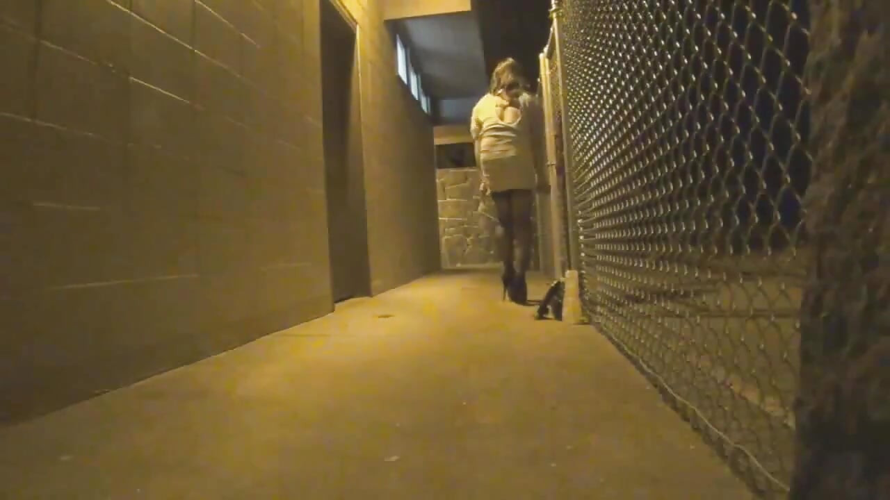 Fence Suck & Fuck