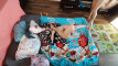 Pregled videozapisa