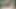 BBW Latina Striptease Dancing and Jiggling Her Gorgeous Fat Body Encouraging You to Jerk off and Cum on Countdown