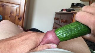 Foreskin cucumber Sunday - 1 of 9