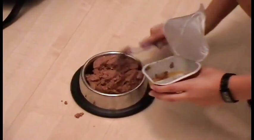 후배위에서 따먹기