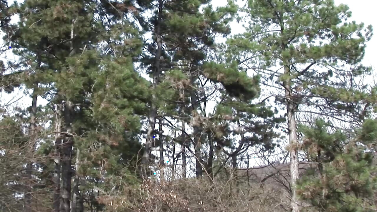 Astonishing French blonde gets her ass ripped in the woods