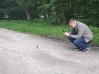 Кроссдрессер и птица в публичном парке