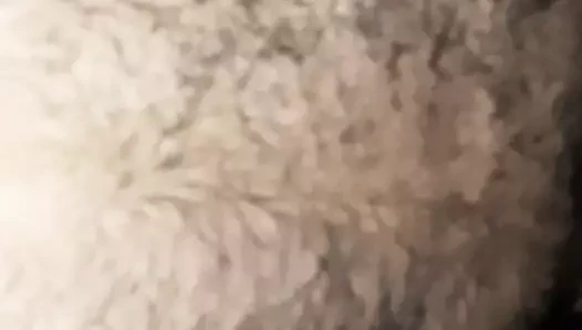 Greek porn video – Barebacking a greek bear trucker