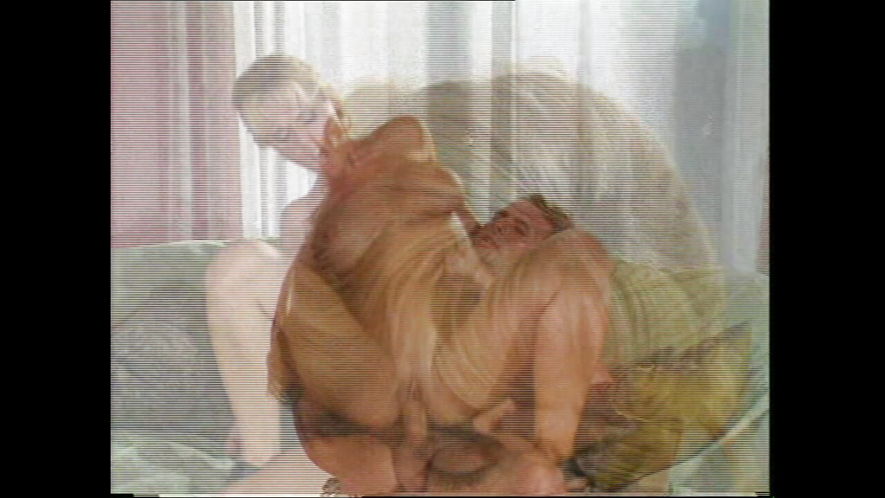 Le Cochon Mange Mon Vagin (film)