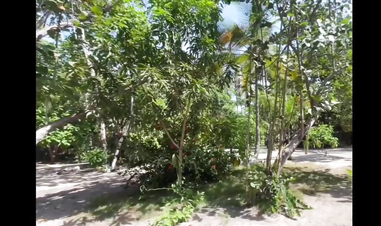 カリブ海の島でウェイターにセックスされたラティーナ