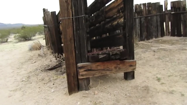 Desert Cow Pen Cum 3