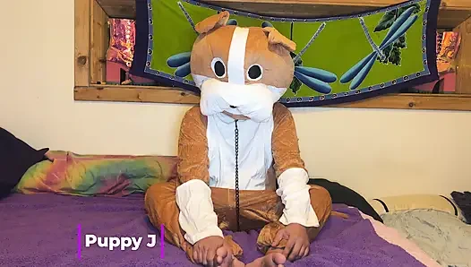 Любовь пушистых - Cliff Media Productions