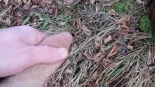 forest pee before cumming