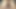Desi Hairy Pink Dick Lund