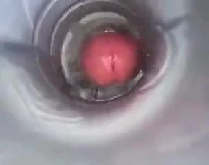 Cum into my fleshlight