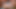 RealGFsExposed - Kylee Reese Is The Master Of Deepthroat