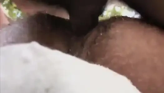 Lords of the Jungle