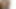 My stepsister has hairy pussy and likes cock
