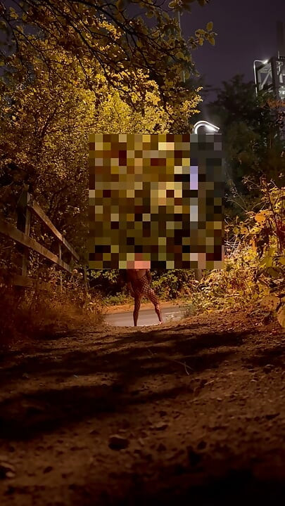 Strip naked and put fishnet body stocking on , walk around wanking at roadside and caught whilst getting naked