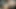 Ellie Riding Lara Crofts Belly Bulger Futa Dick  Bonus Ellie's Non Stop Cum Scene