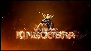 King Cobra