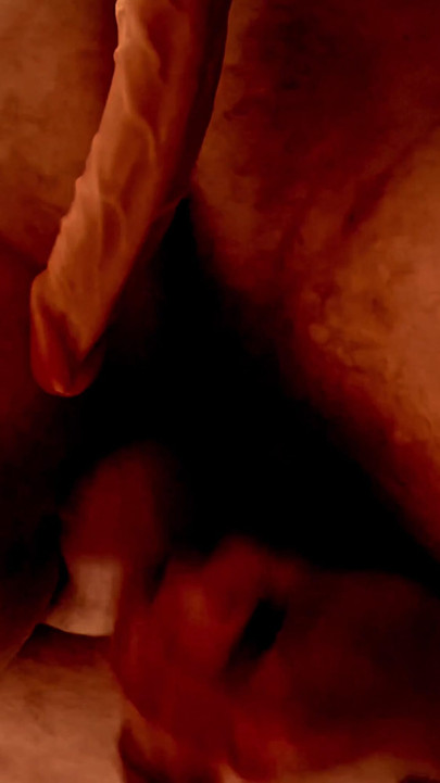 Jaw-dropping moment from "Bear Exploring While  Wife Is Away"