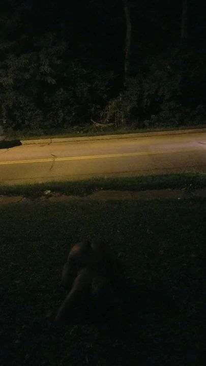 Naked on front lawn