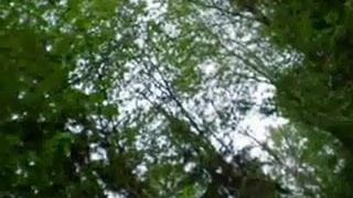 2 Mädchen lutschen Schwanz in einem Wald
