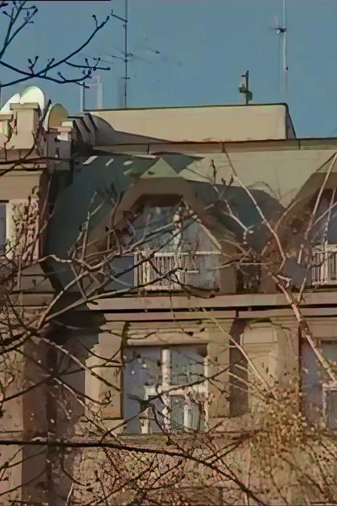 Отсутствует