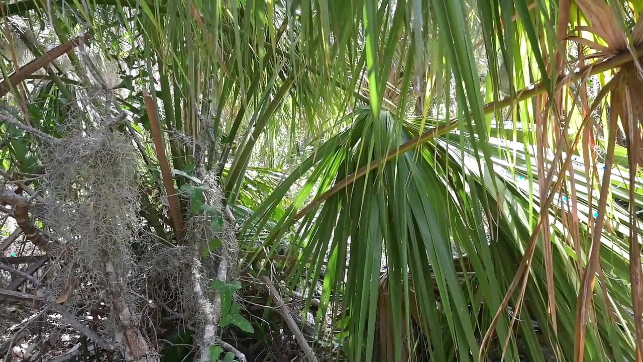 BTS naturvandring og onani på stien