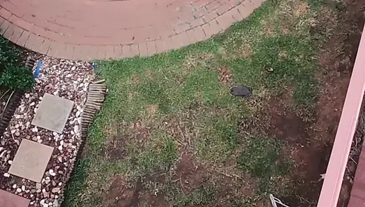 Memergoki tetanggaku bersetubuh saat terbang dengan droneku