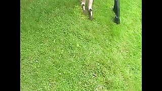 Dominație BDSM grea pentru două supuse