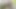 En iyi arkadaşı beni yalarken erkek arkadaşım beni aradı