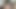 毛むくじゃらのおまんこの世界