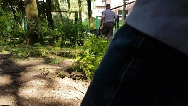 Try to flash in park
