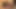 Hard cock shemale fucking a horny female
