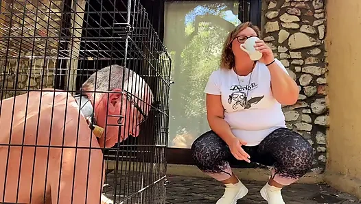 Caged - The chronicles of a life at her feet