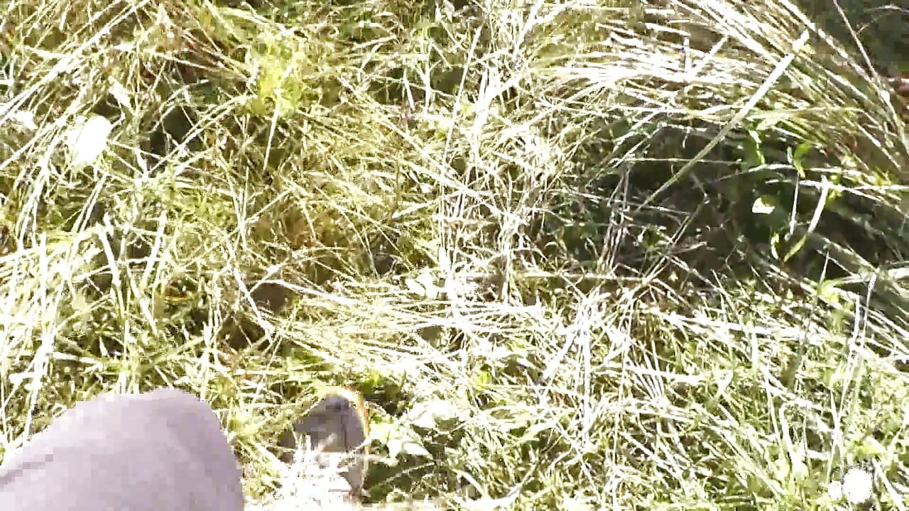Wild beach Random guy passing by saw naked woman sexy mature Milf sunbathing on river bank Doggystyle Doggy style Butt Ass Pussy
