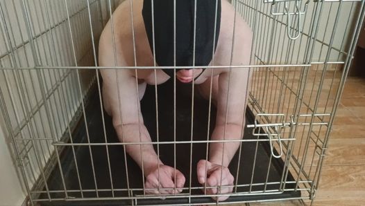 Your place is in the cage if I'm not fucking your ass. Femdom pegging fetish